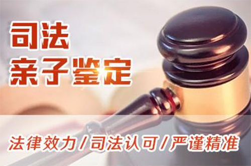 西咸新区司法亲子鉴定流程是怎样的,西咸新区司法亲子鉴定怎么做